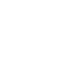 prevention icon